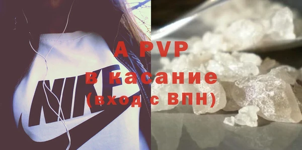 сатива Балахна