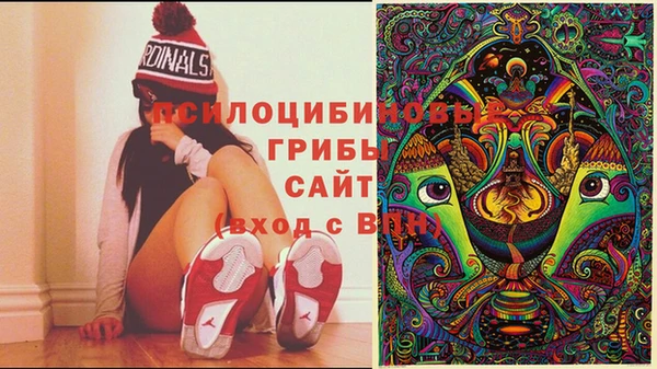 первитин Белокуриха