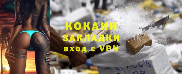сатива Балахна