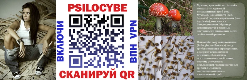 Галлюциногенные грибы прущие грибы  Коркино 